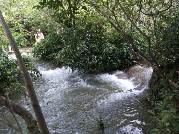 淇县庙口镇举办首届乡村大集“土味儿”年货节打造消费新场景满足消费新需求